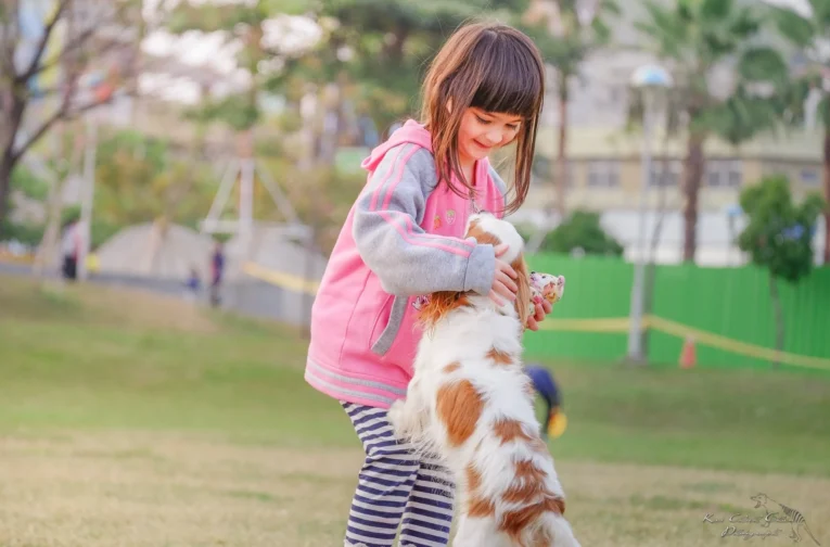 Pet friendly Parks in Dubai