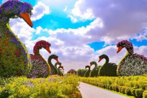 Dubai Miracle Garden